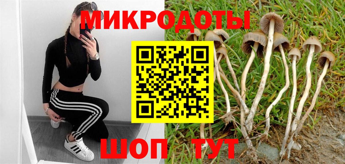 Черемхово  Псилоцибиновые грибы мицелий  Вход с VPN 